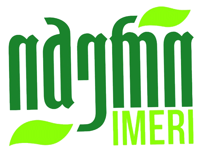 Imeri 2020