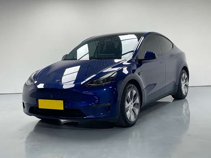 Model Y 2021 standard range rear-wheel drive version