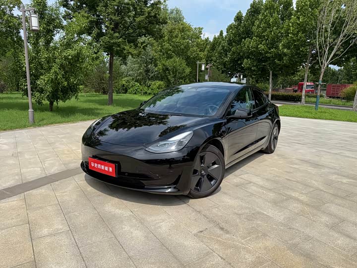 Model 3 2022 rear-wheel drive version