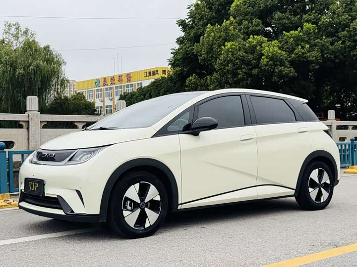 BYD Dolphin 2023 420km Fashion Edition
