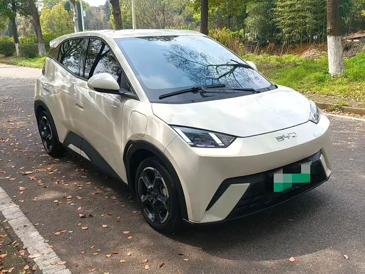 Seagull 2024 Honor Edition 305km Free Edition