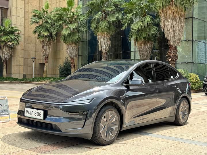 Model Y L 2025 long-range all-wheel drive version
