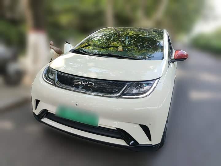 BYD Dolphin 2023 420km Fashion Edition
