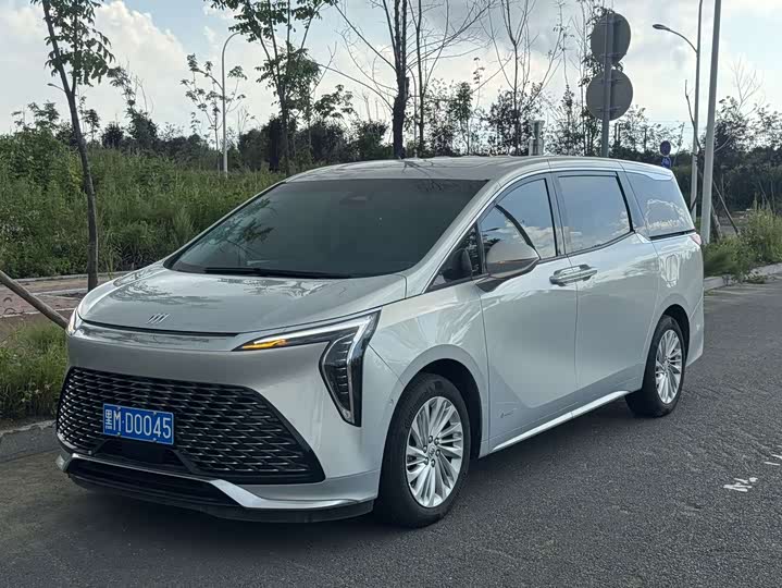 Century 2025 Model 2.0T Seven-Seater Yunshi Edition
