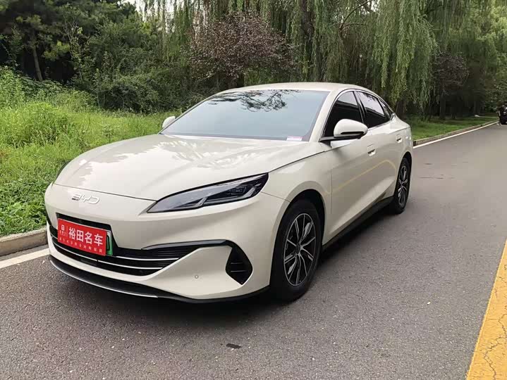 Seal 06 2024 DM-i 80KM Premium Type