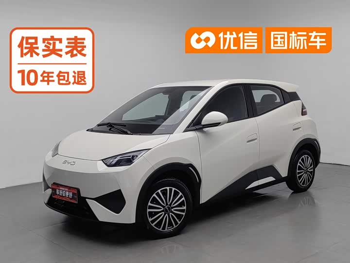 Seagull 2025 Smart Driving Edition 305km Vitality Edition