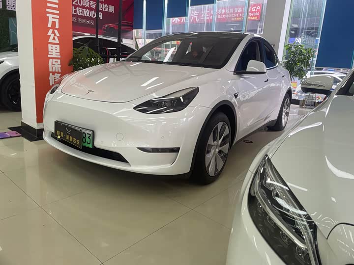Model Y 2021 standard range rear-wheel drive version