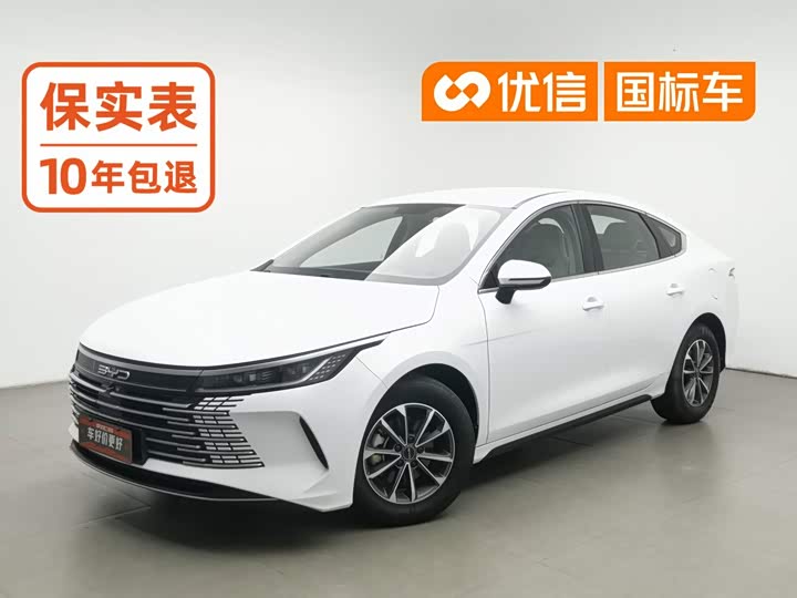 Destroyer 05 2024 Honor Edition DM-i 55KM Luxury Type