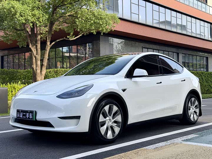 Model Y 2021 standard range rear-wheel drive version
