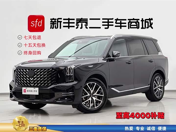 Trumpchi GS8 2025 Pilot Series 2.0TGDI two-wheel drive luxury version 5 seats