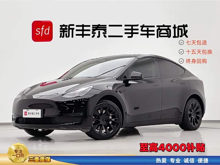 Model Y 2021 standard range rear-wheel drive version