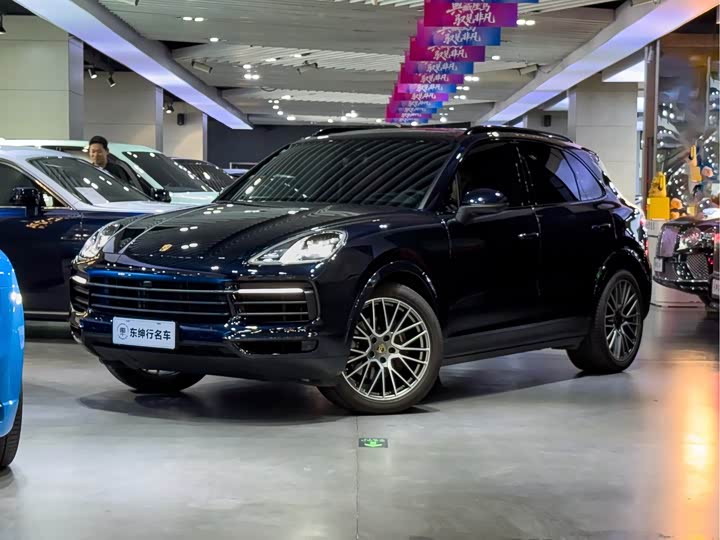 Cayenne 2023 Cayenne 3.0T Platinum Edition