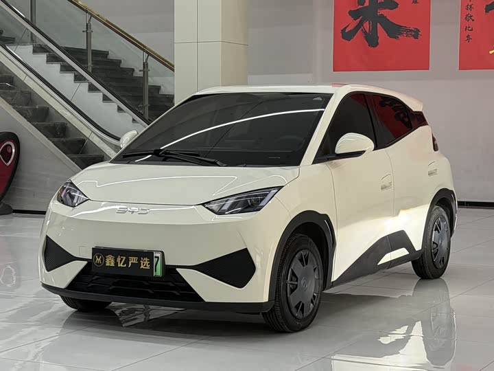 Seagull 2025 Smart Driving Edition 305km Vitality Edition