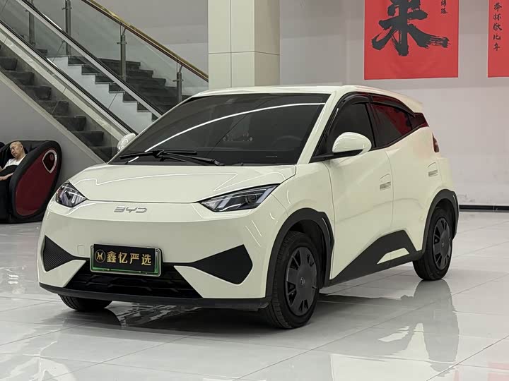 Seagull 2025 Smart Driving Edition 305km Vitality Edition