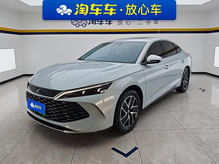 Qin L 2024 DM-i 120KM transcendent model