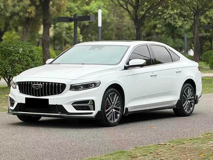 Xingrui 2023 2.0TD luxury model