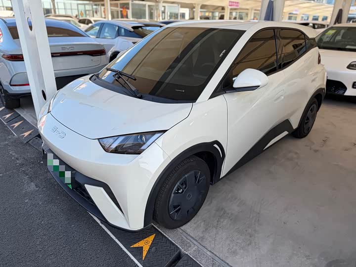 Seagull 2025 305km active version