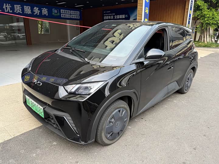 Seagull 2024 Honor Edition 305km Vitality Edition