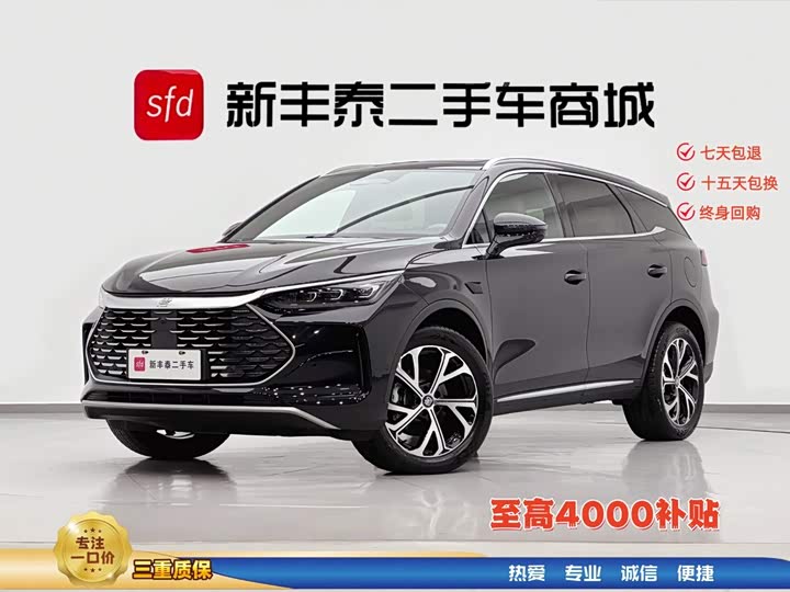 Tangxin Energy 2025 DM-i 115KM Honor Type