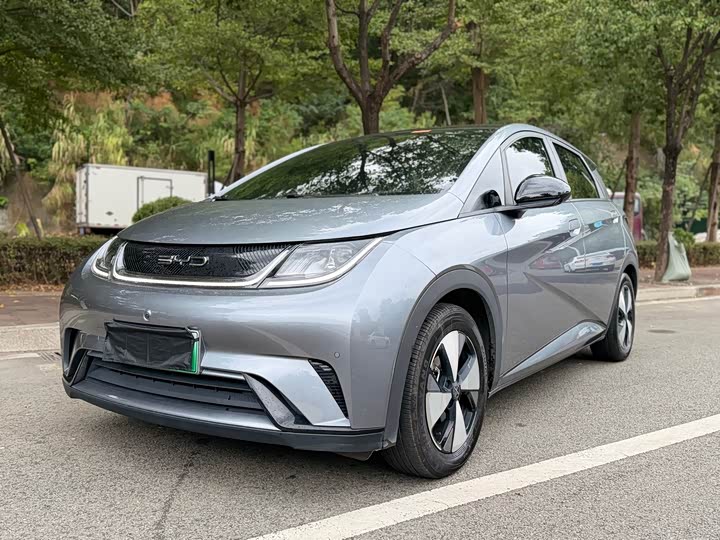 2023 BYD Dolphin 420km Fashion Edition