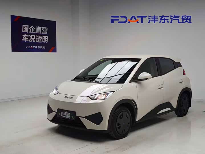Seagull 2025 Smart Driving Edition 305km Vitality Edition