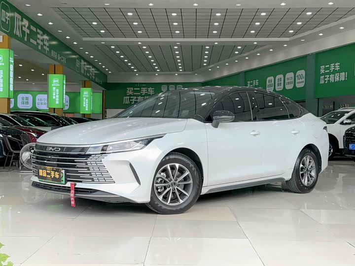 Destroyer 05 2024 Honor Edition DM-i 55KM Luxury Type
