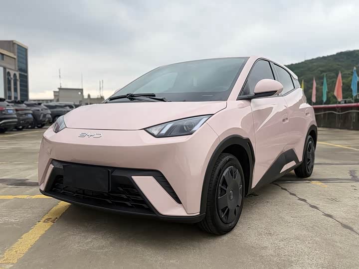 Seagull 2024 Honor Edition 305km Vitality Edition