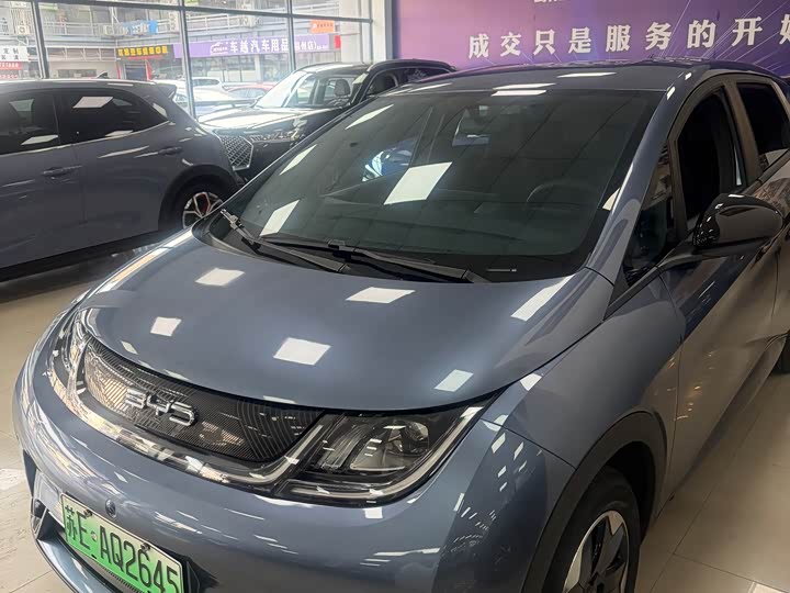 2025 BYD Dolphin 420km Freedom Edition