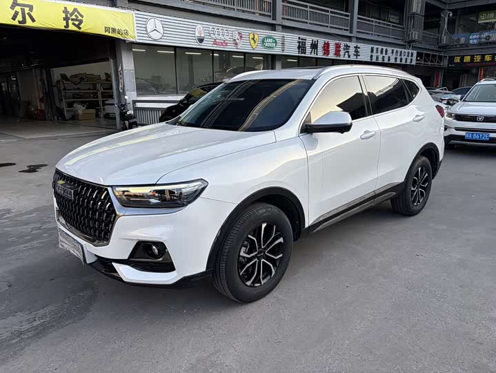 Haval H6 2023 National Fashion Edition 1.5T Automatic Champion Edition