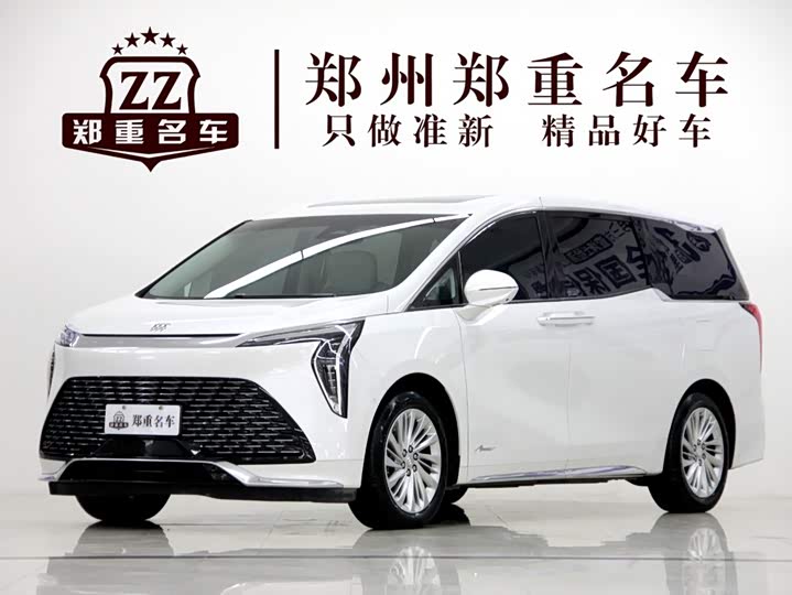 Century 2023 2.0T seven-seat Yuanshi Edition
