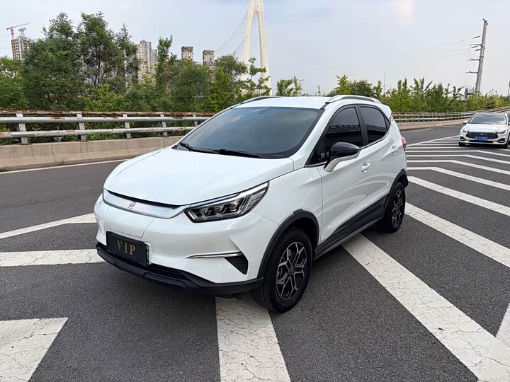 Yuan Pro 2021 Model Forever Love Edition