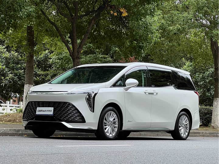 Century 2025 2.0T Six-seater Yuanshi Edition