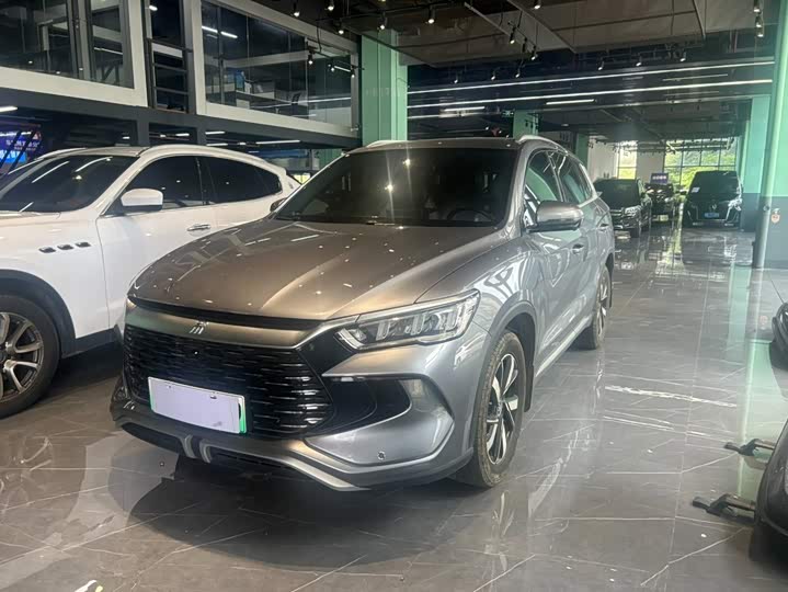 Song Pro New Energy 2024 Honor Edition DM-i 71KM Pilot Model