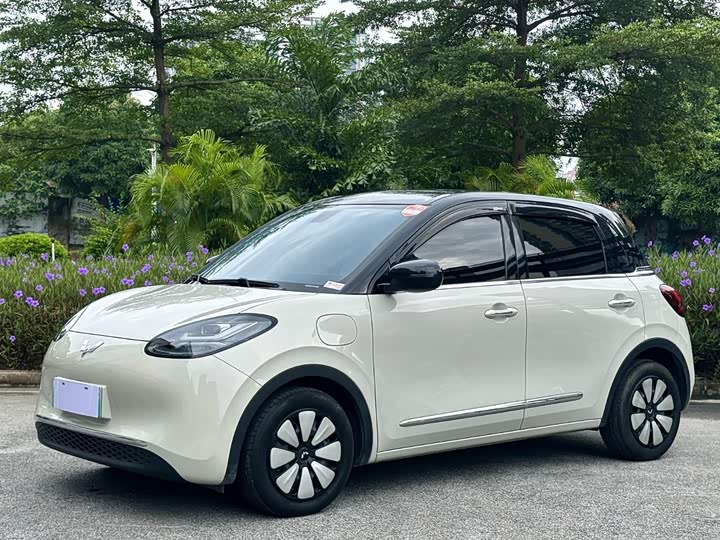 Wuling Bingo 2024 410km Lingxi Premium Model