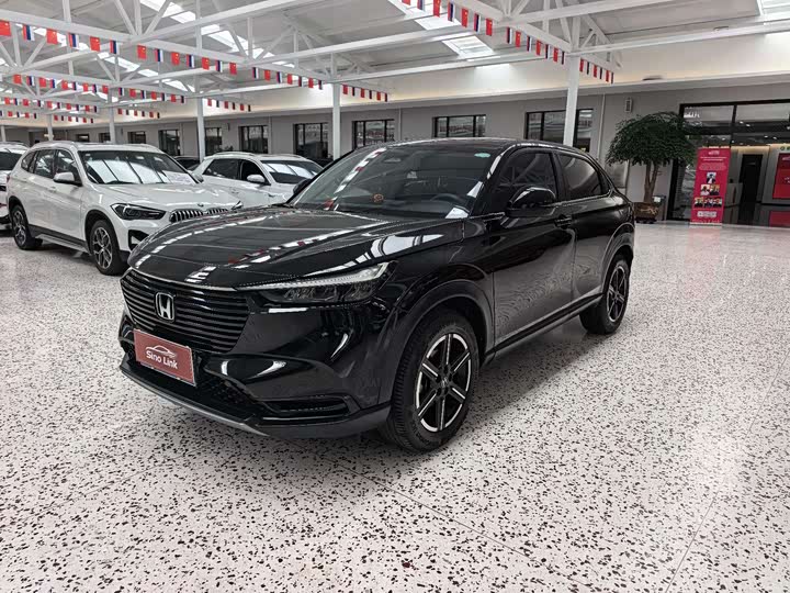 Binzhi 2023 Model 1.5L CVT Technology Edition