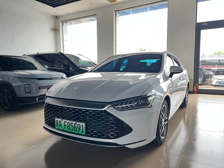 Qin PLUS 2021 DM-i 55KM Flagship