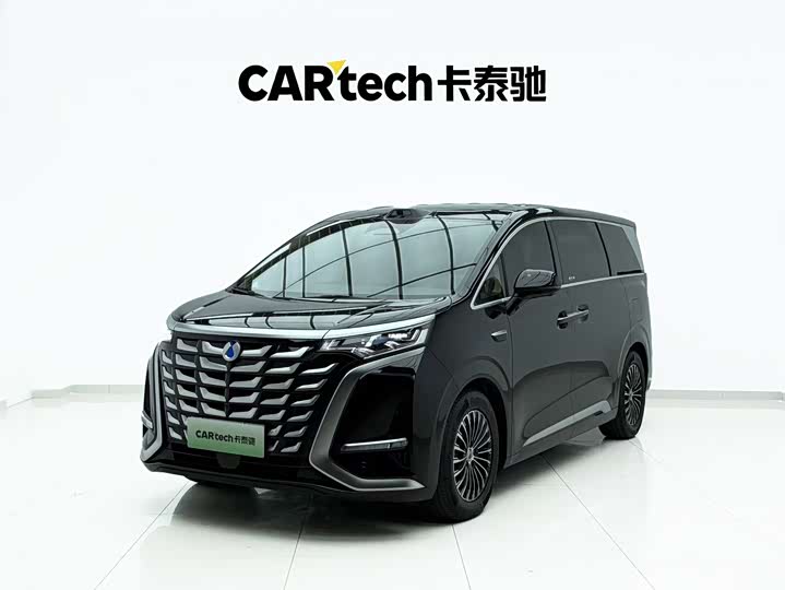 Denza D9 2025 DM-i AWD Flagship