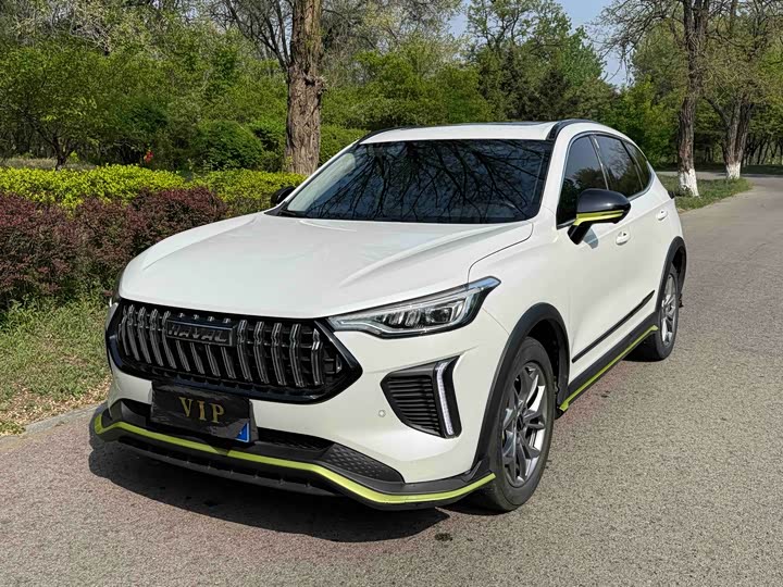 Haval Red Rabbit 2022 Model Jinxiang Edition 1.5T Red Bronze Rabbit