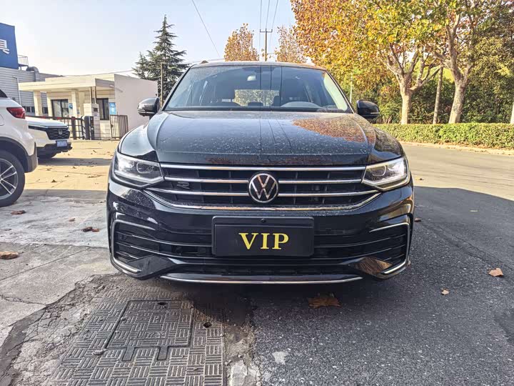 Tiguan L 2024 Model Outstanding Model 330TSI Automatic 2WD Dragon Edition