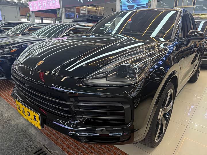 Cayenne 2023 Cayenne 3.0T Platinum Edition