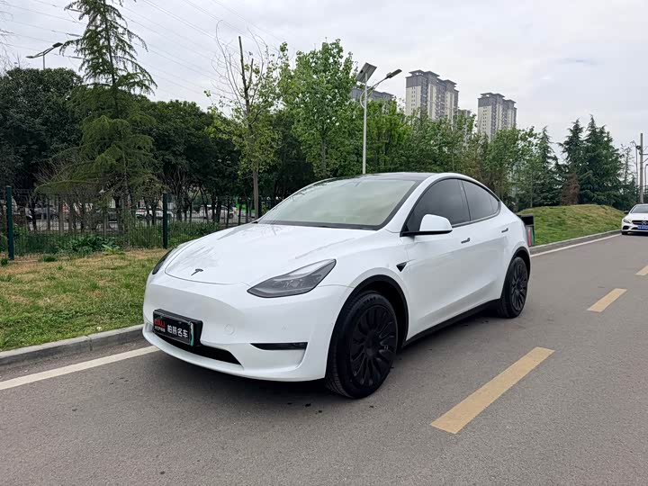 Model Y 2021 standard range rear-wheel drive version
