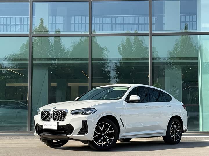 BMW X4 2022 xDrive25i M Sport Package