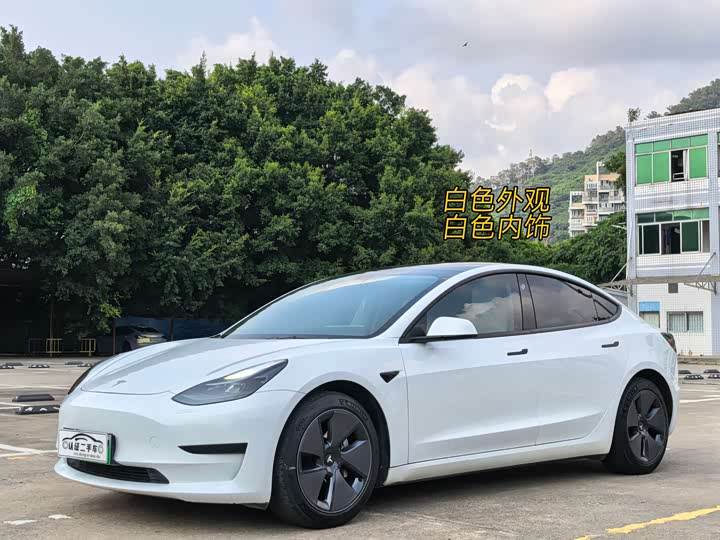 Model 3 2021 Model Standard battery life rear drive upgrade-Class Edition 3D6