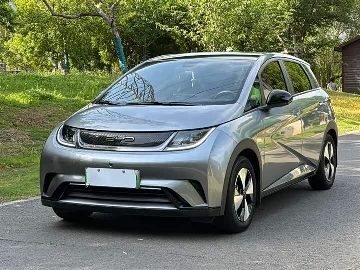 Dolphin 2023 Model 420km Fashion Edition