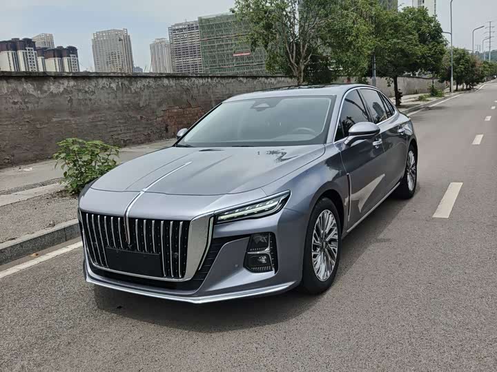 HongqiH5 2023 Model 2.0T Automatic Zhilian Qichang Edition