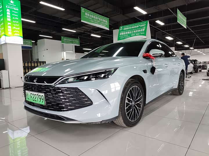 Qin L 2025 Model DM-i Smart Driving Edition 120KMExcellenceModel