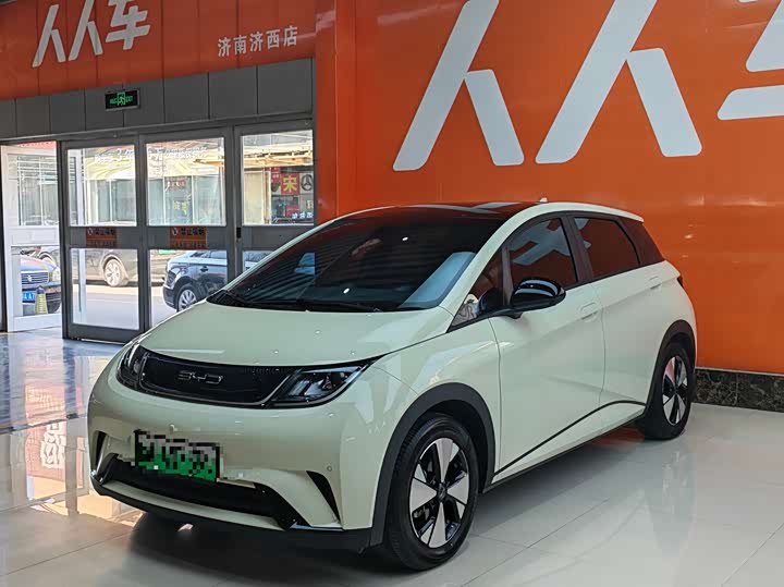 Dolphin 2023 Model 420km Fashion Edition