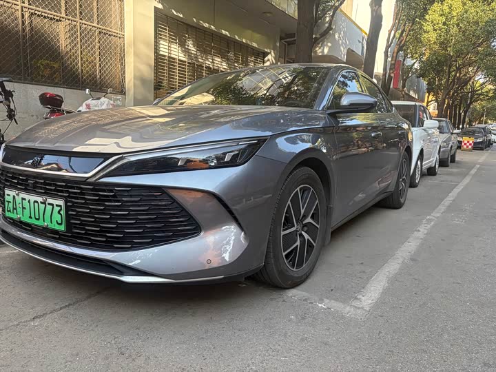 Qin L 2024 Model DM-i 80KMBeyondModel