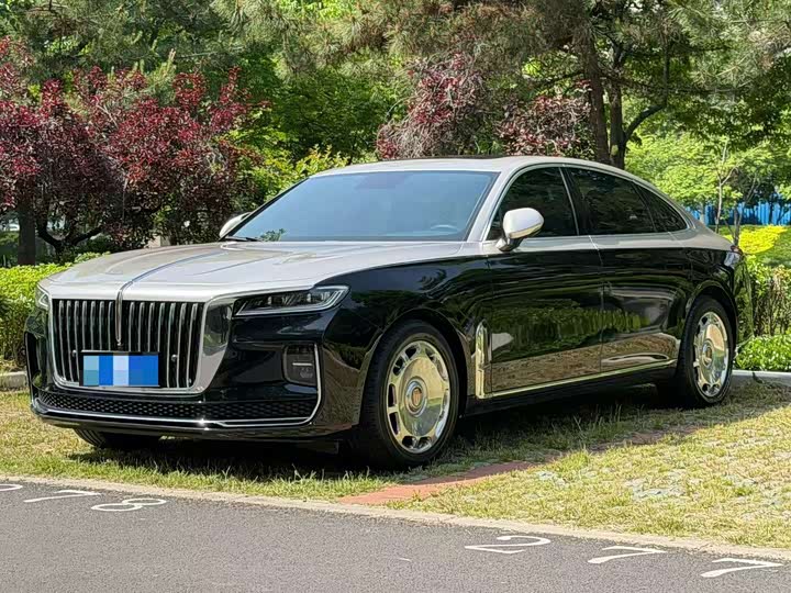 HongqiH9 2022 Model 2.0T Zhilian Qiyue Edition