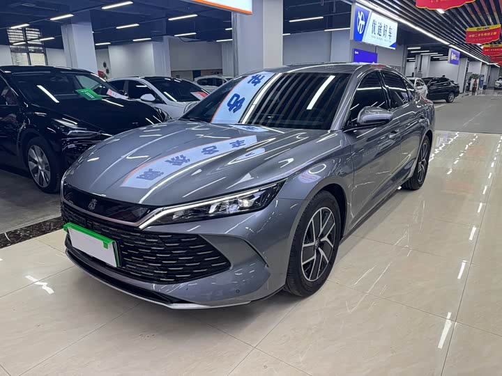 Qin L 2024 DM-i 80KM transcendent model
